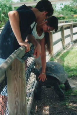 AngelAldabra.jpg (26272 bytes)
